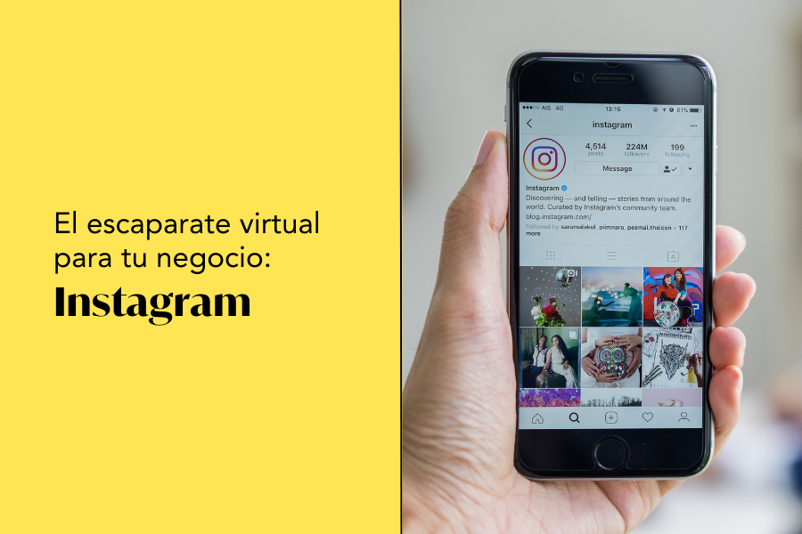 Aula Virtual Andaluc a Vuela