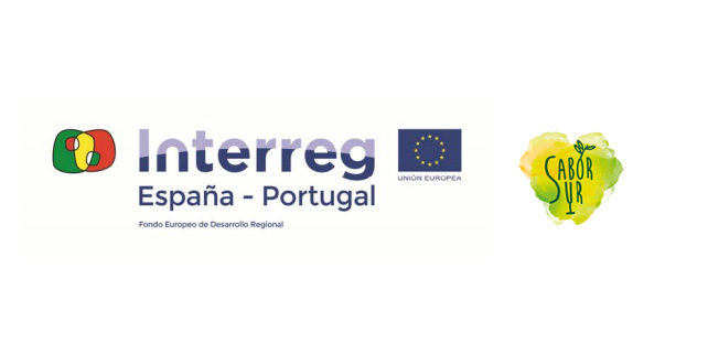 Logo del programa interreg sabor sur